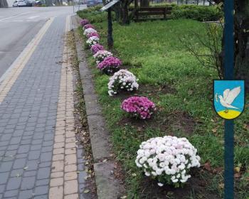 Z pomocą lokalnym przedsiębiorcom
