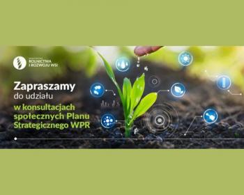Ruszyły konsultacje projektu Planu Strategicznego dla Wspólnej Polityki Rolnej