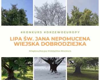 Europejskie Drzewo Roku 2021