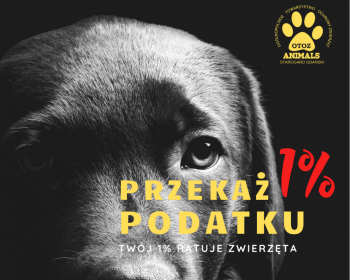 Przekaż 1% podatku - ratuj zwierzęta