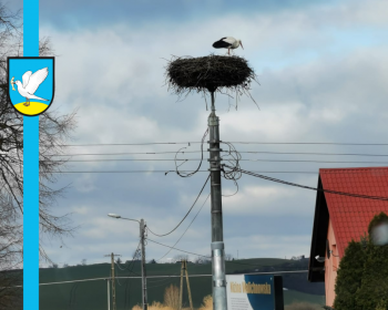 Idzie wiosna!