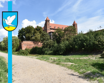 Fosa uporządkowana