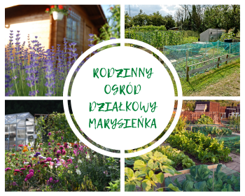 Zapytanie ofertowe ROD Marysieńka w Gniewie