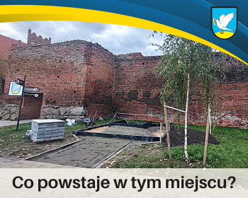 Co powstaje na alejce? Odpowiedz na pytanie i zgarnij nagrody!