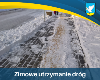 Zimowe utrzymanie dróg w gminie Gniew