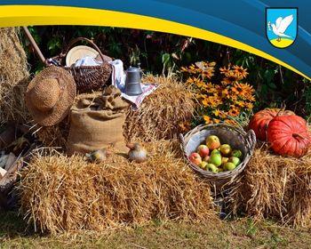 Dożynki Gminne w Piasecznie