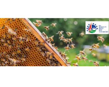 Wsparcie dla pszczelarzy