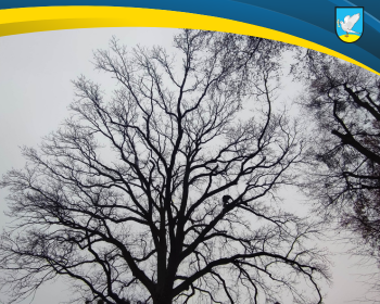 Czynna ochrona przyrody gminy Gniew - 2025