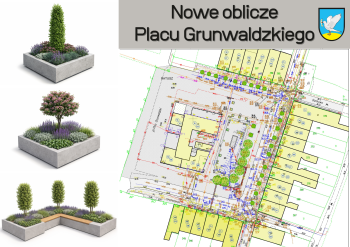 Więcej zieleni w sercu miasta